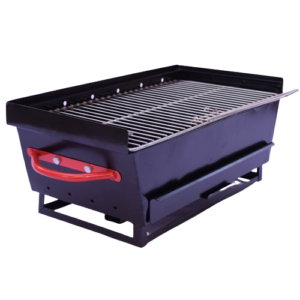 Barbeque Picnic Big Bro